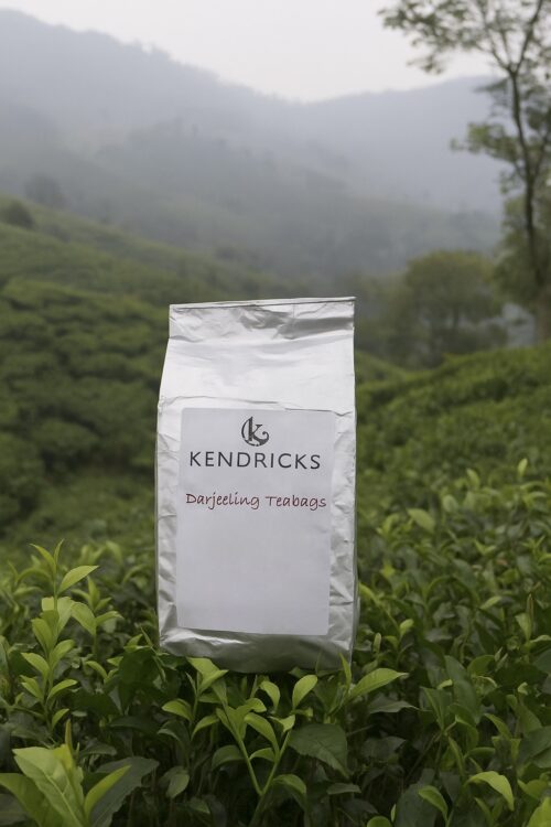 Darjeeling Tea Bags x 50